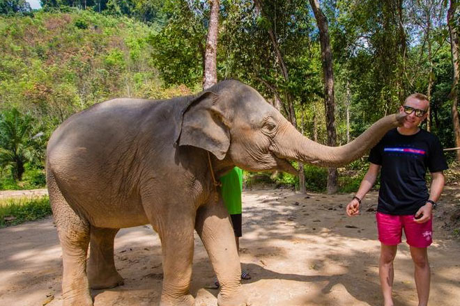 Elephant Care Tour