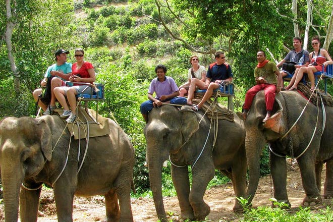 Phuket Sightseeing & Elephant Safari Tour