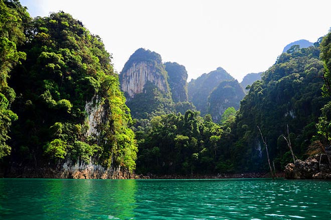 Khao Sok Jungle Tour