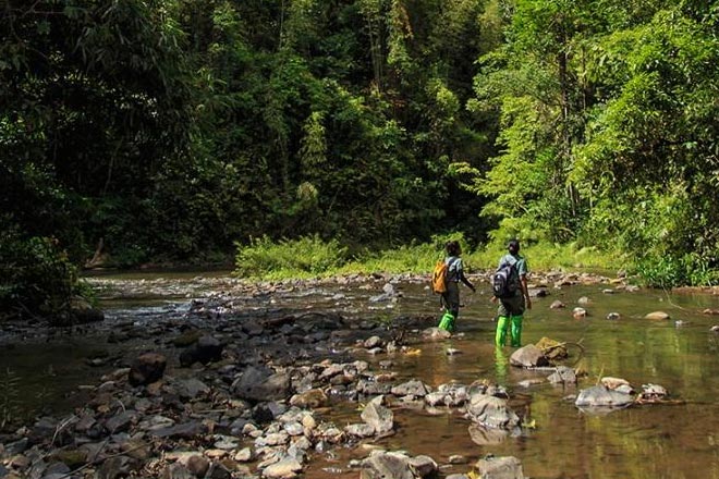 Khao Sok Jungle Tour