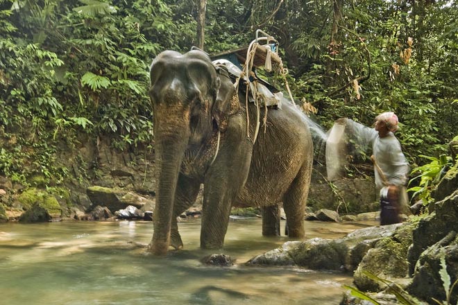 Khao Sok Jungle Tour