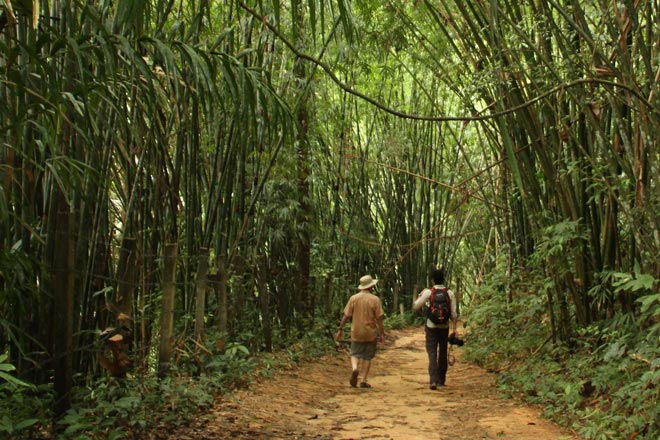 Private Khao Sok Tour